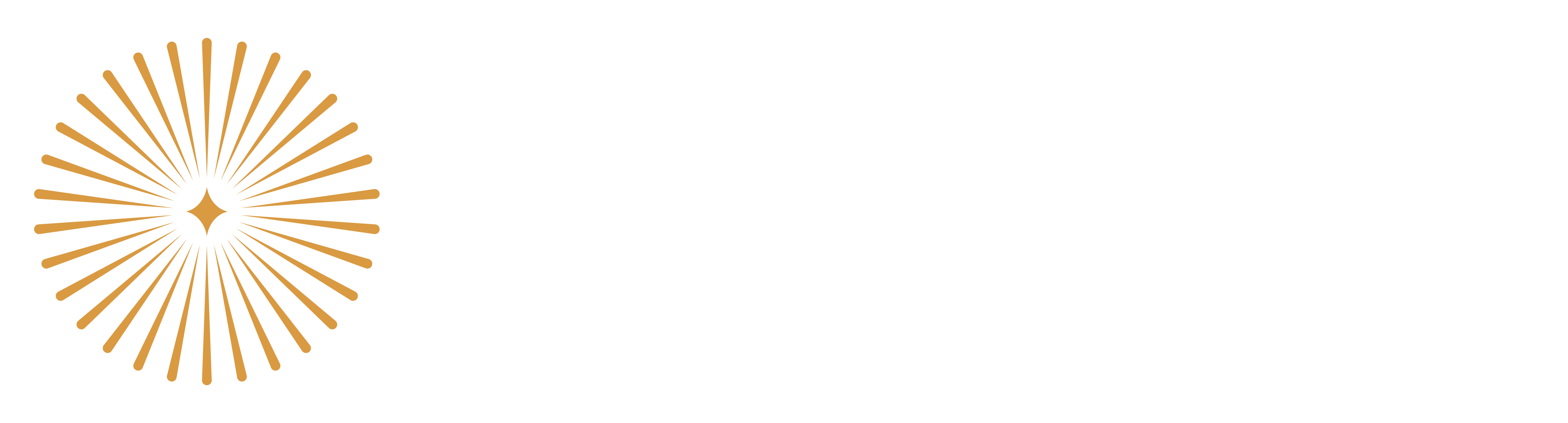 DreamCatcher Logo